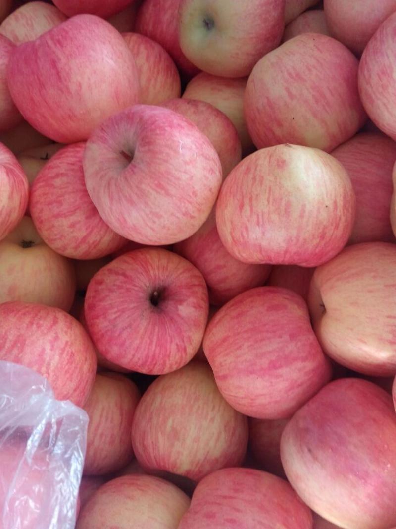 苹果山东红富士苹果产地直供口感脆甜品质保证推荐