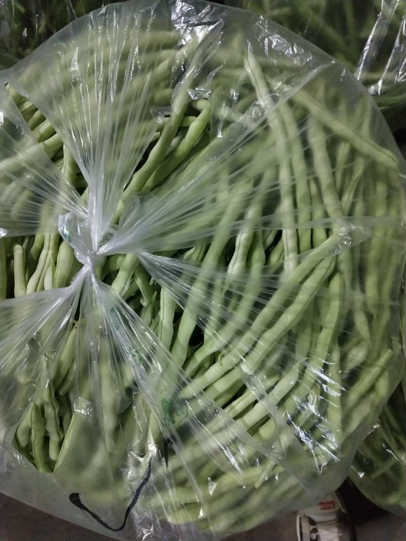大量供应精品白肉豆，王中王，欢迎各位老板下单