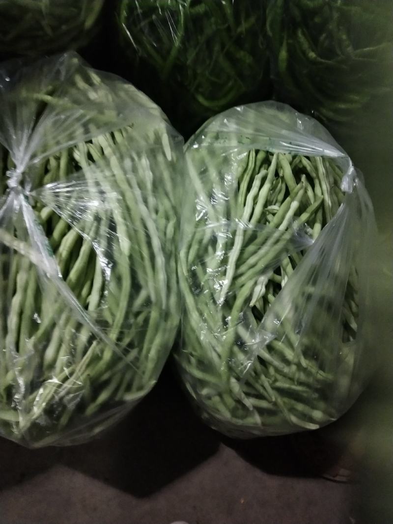 大量供应精品白肉豆，王中王，欢迎各位老板下单