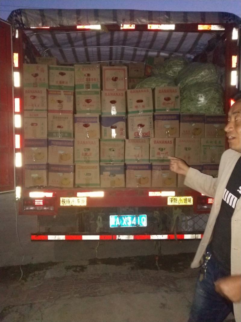 大量供应德贝利西红柿，欢迎各位老板下单。