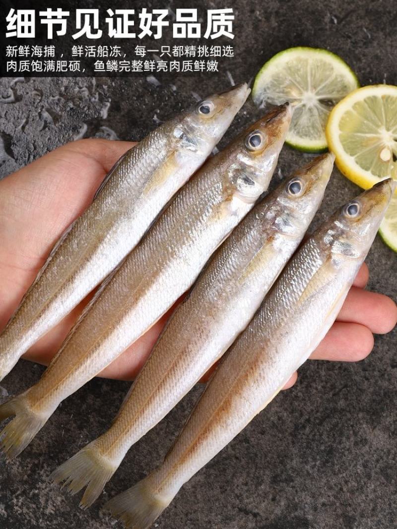 新鲜沙丁鱼，北海海鲜沙钻鱼，新鲜发货非冻品【拍前联系我】