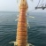 广西北海皮皮虾海鲜水产濑尿虾批发
