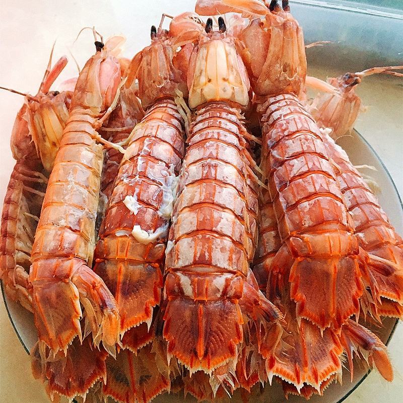广西北海皮皮虾海鲜水产濑尿虾批发