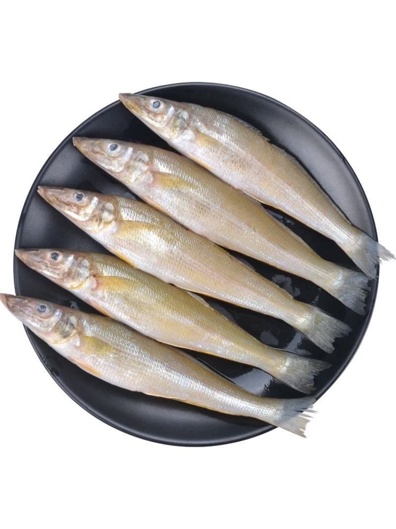 新鲜沙丁鱼，北海海鲜沙钻鱼，新鲜发货非冻品【拍前联系我】