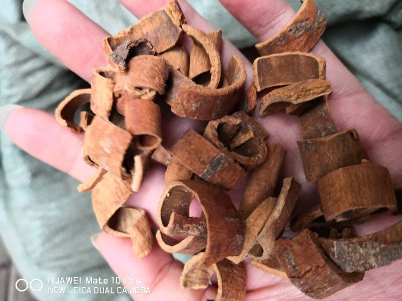去皮肉桂个子切丝各种规格药食同源