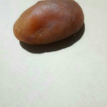 以经风干的鸡宝12克急出售