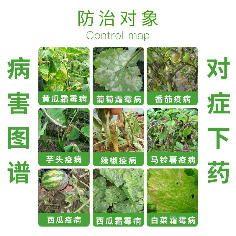 金法剑50%氰霜唑+氟吡菌胺霜霉疫病白锈病杀菌剂
