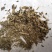 白芷沫子批发零售品种齐全诚信经营量大从优支持混批