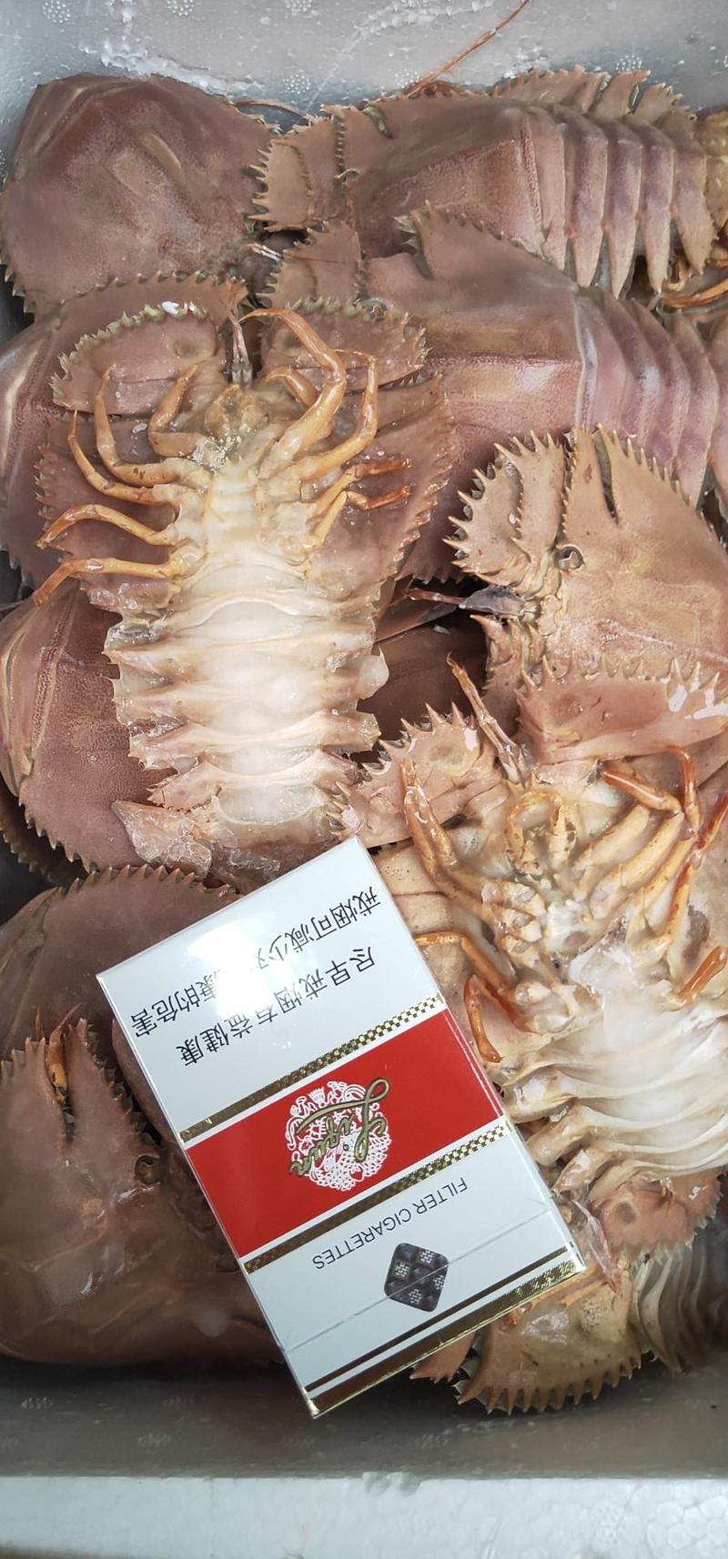 冻琵琶虾，一件毛重5斤，净重3斤左右。上海现货大量批发