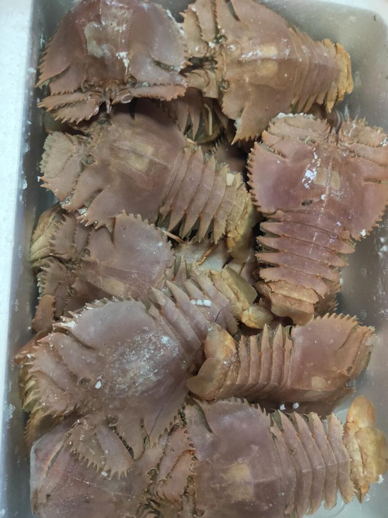 冻琵琶虾，一件毛重5斤，净重3斤左右。上海现货大量批发