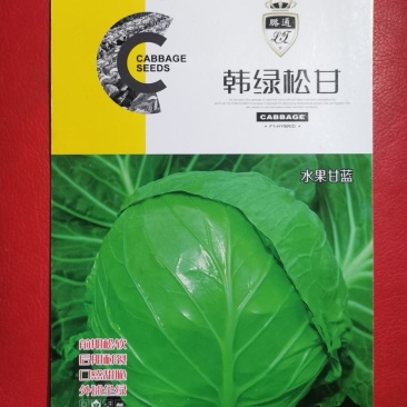 进口韩绿甘蓝种子水果甘蓝颜色绿耐裂球高抗病