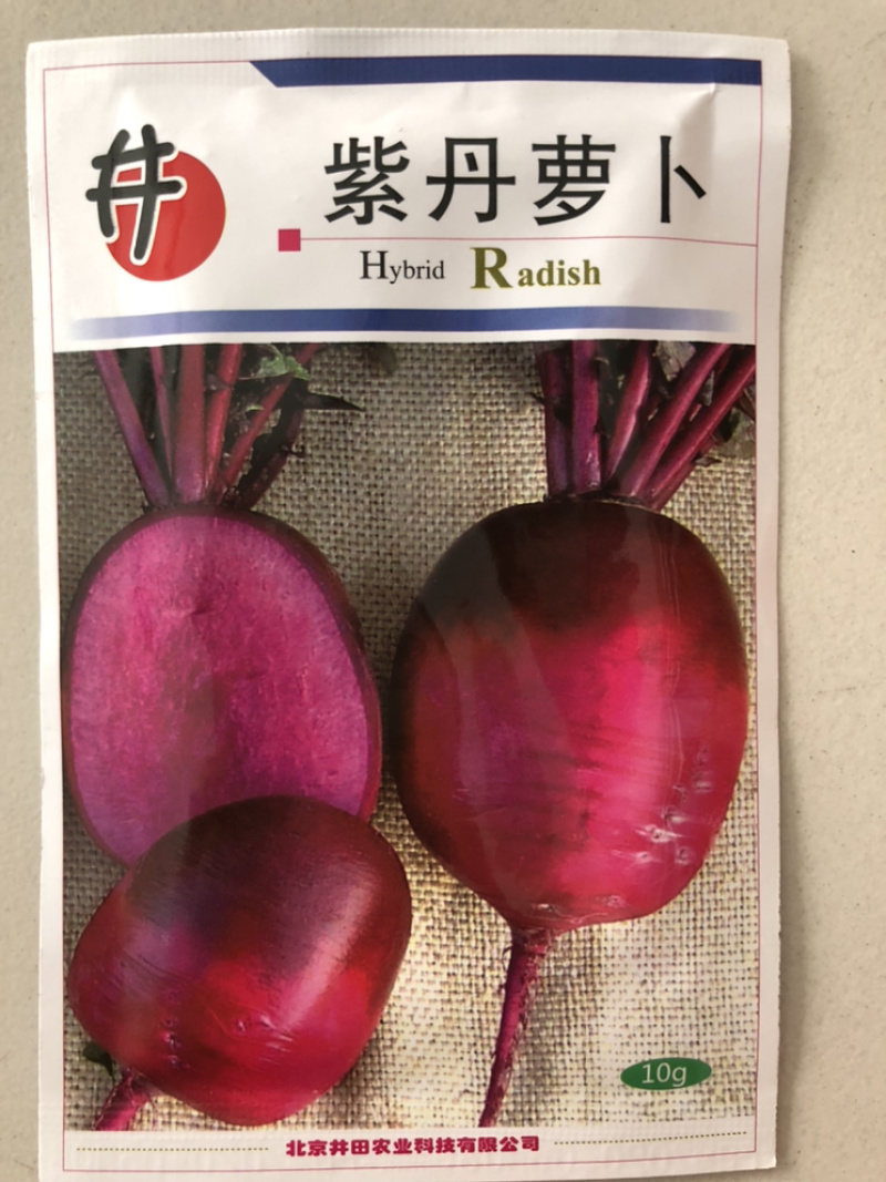 凤梨水果萝卜种子紫丹萝卜紫皮紫肉口感水果萝卜种子