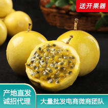 海南黄金百香果一件无痕代发，批发新鲜水果现货