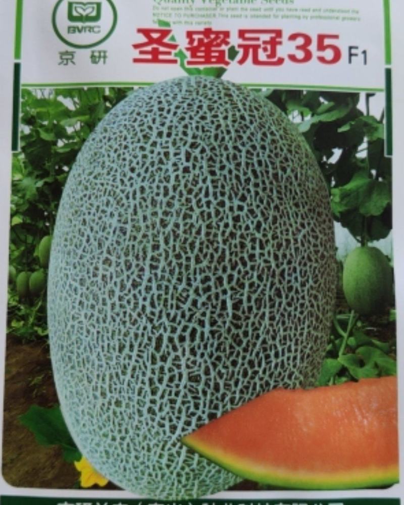 甜瓜种子，哈密瓜种子，西州蜜种子，抗病能力强