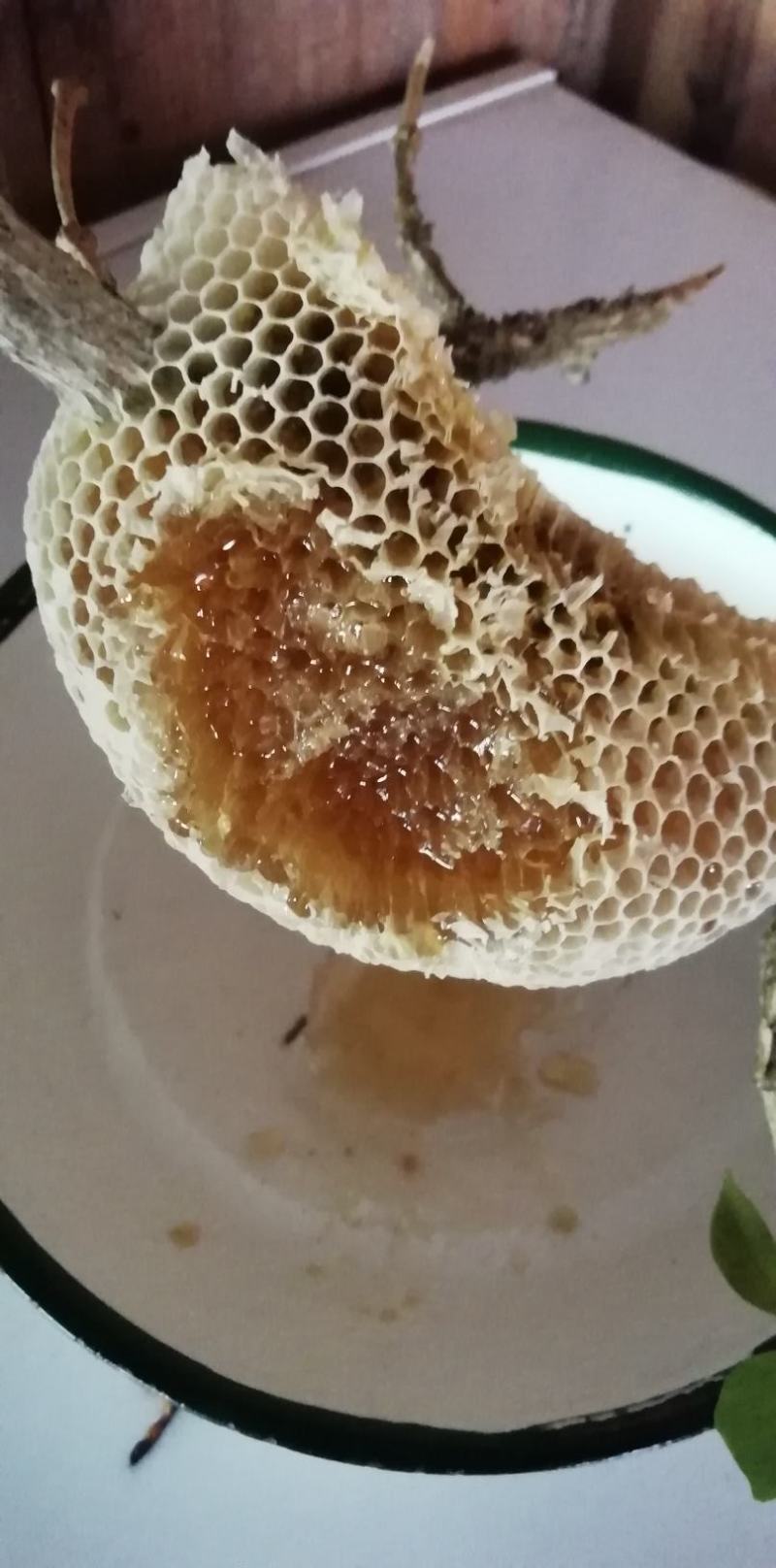 云南野生蜂蜜，货真价实，带巢发，嚼着吃更带劲！