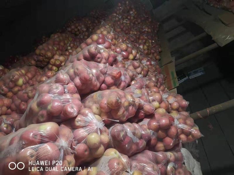 【果园直发】冰糖心苹果新疆阿克苏苹果电商团购直供质量保证