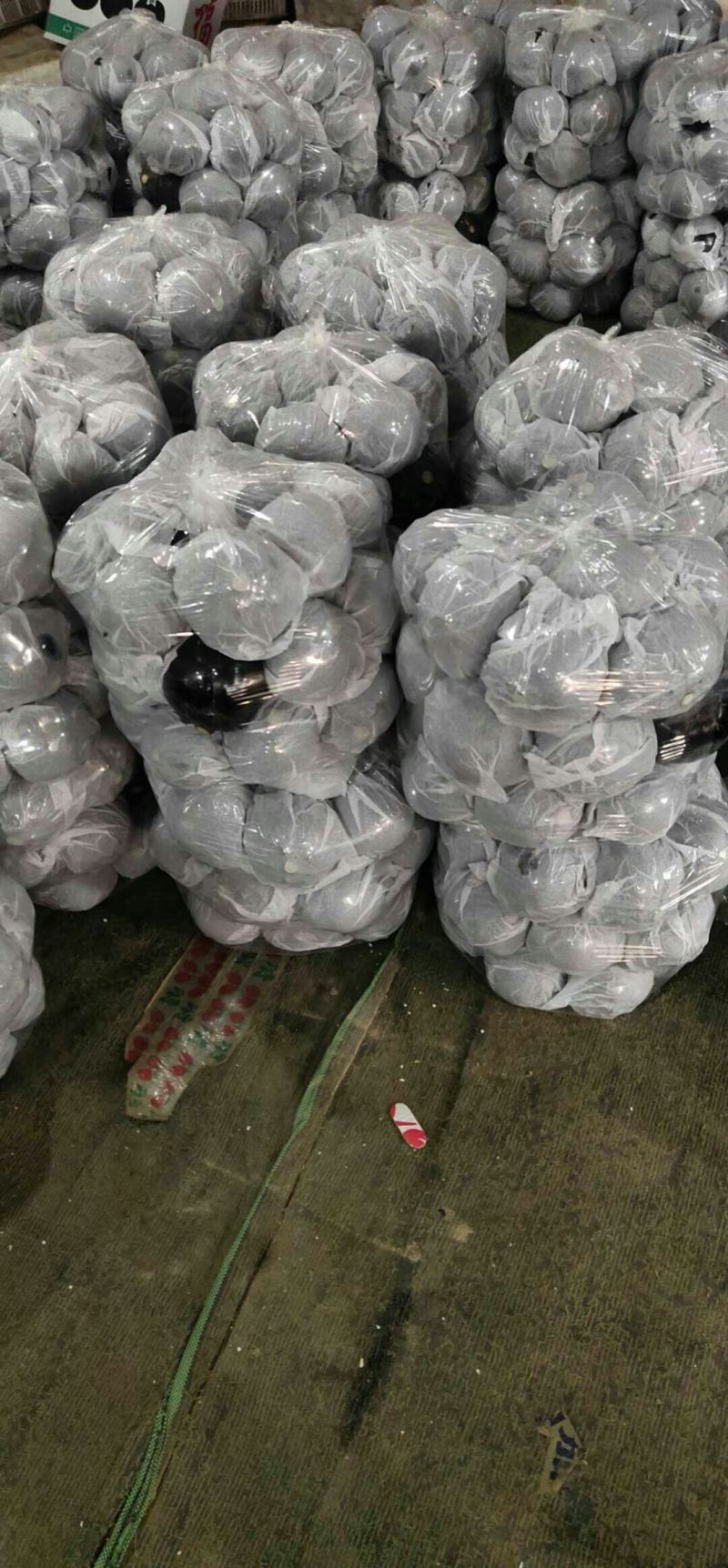 莘县王奉镇，陆地紫光圆茄大量上市季！现采现摘，按需分拣，