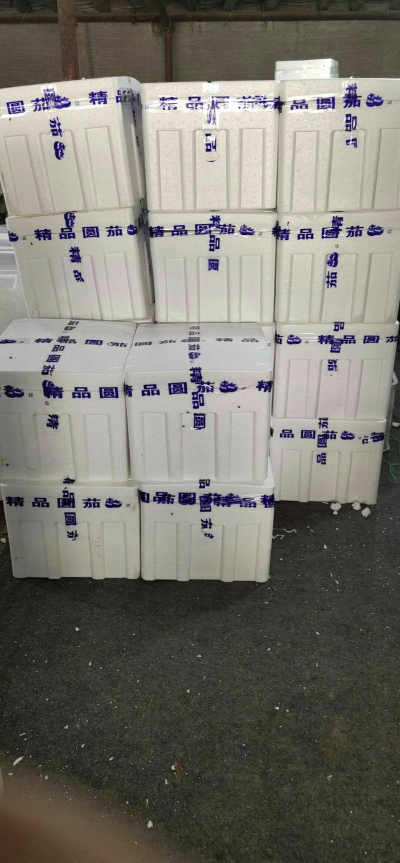 莘县王奉镇，陆地紫光圆茄大量上市季！现采现摘，按需分拣，