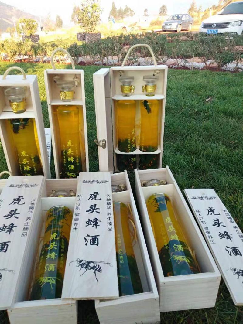 金环虎头蜂老蜂。批发。零售