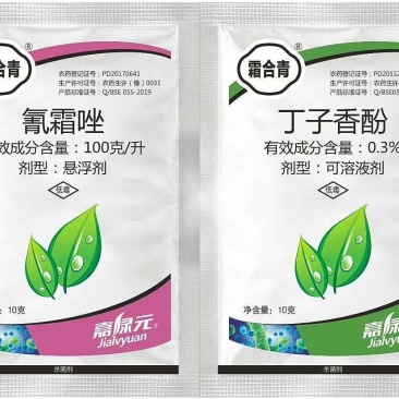 丁子香酚氰霜唑霜霉疫病根肿猝倒