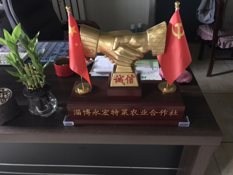 圆葫芦青黄葫芦宝塔花茴香球