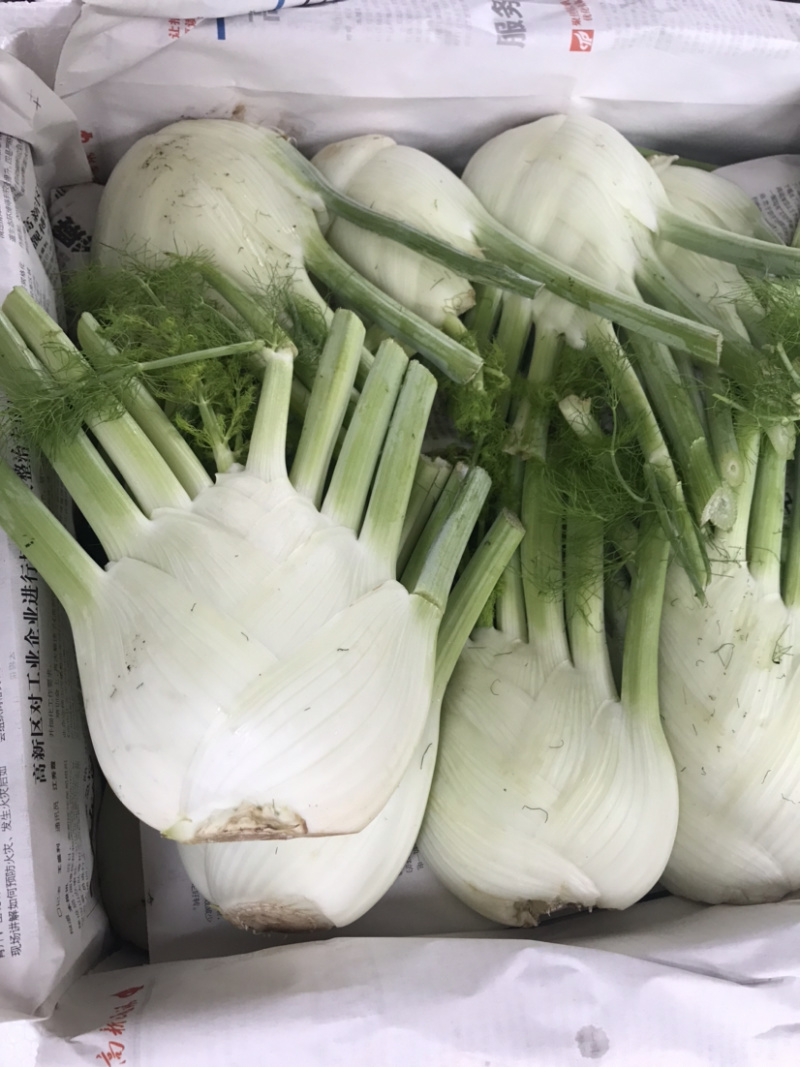 圆葫芦青黄葫芦宝塔花茴香球