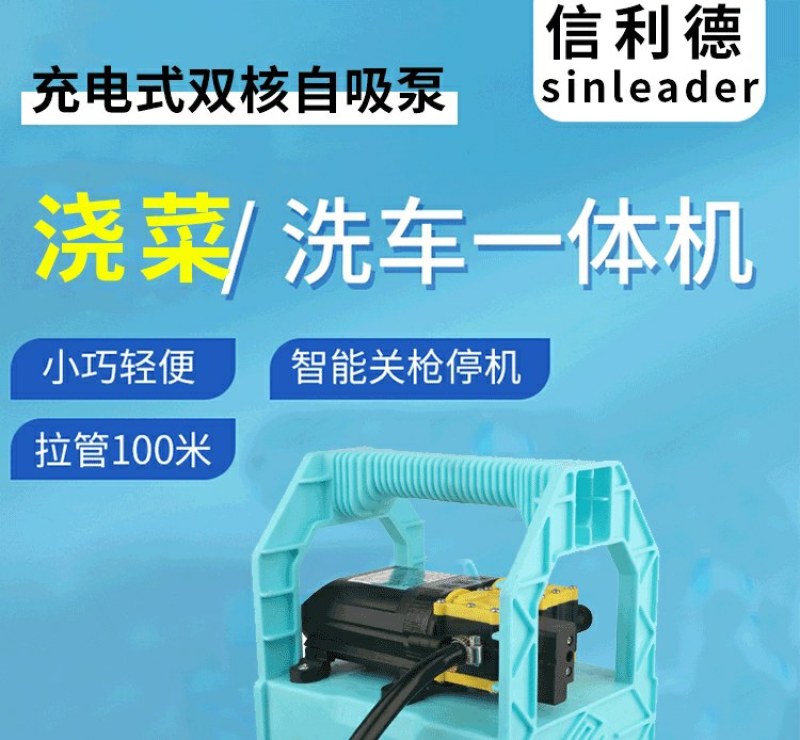 充电水泵便携式家用户外浇菜充电式抽水泵12v小型抽水机打