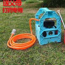 充电水泵便携式家用户外浇菜充电式抽水泵12v小型抽水机打