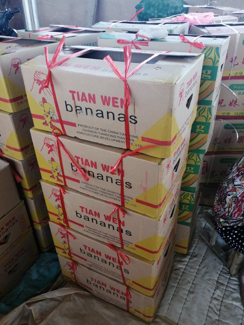 【精品】硬粉西红柿果形饱满颜色鲜亮产地直发欢迎联系