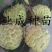\番荔枝苗释迦果苗凤梨释迦树番荔枝树桩林檎果树