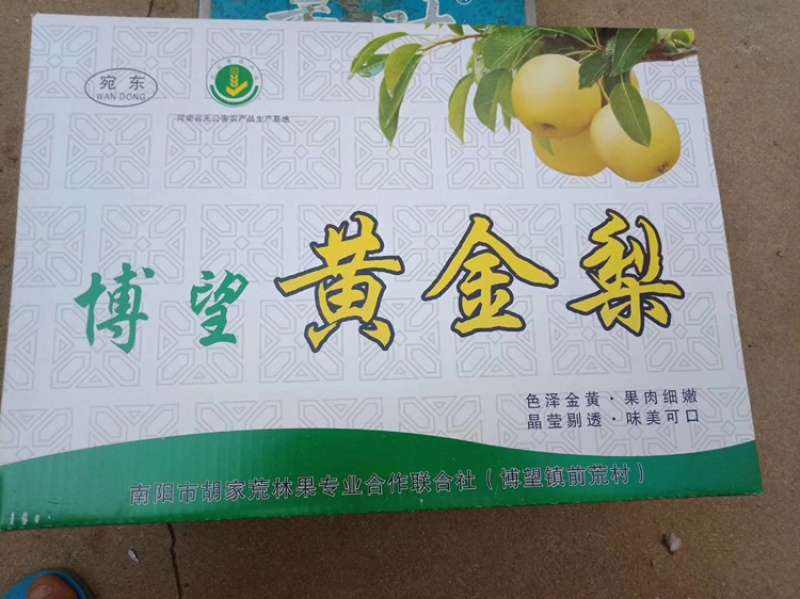 河南省方城县博望黄金梨基地