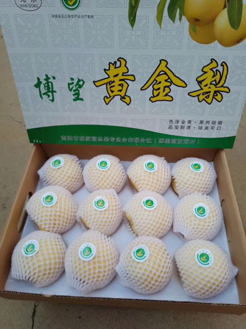 河南省方城县博望黄金梨基地