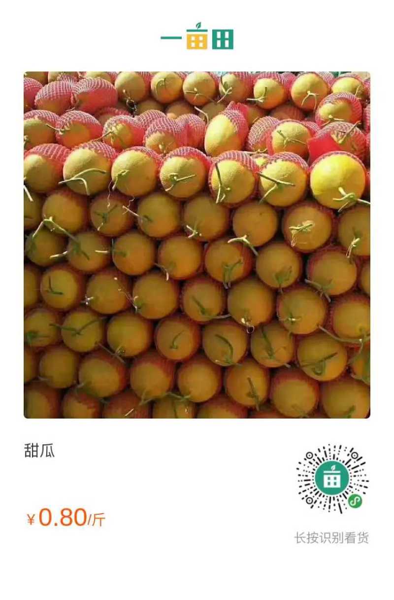 西甜瓜大量上市，望各地老板速度连系，