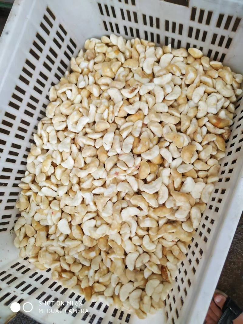 菱角湖北黄冈蕲春大别山牛角菱角青菱角