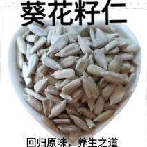 瓜子仁去壳瓜子仁糕点零食瓜子仁包邮