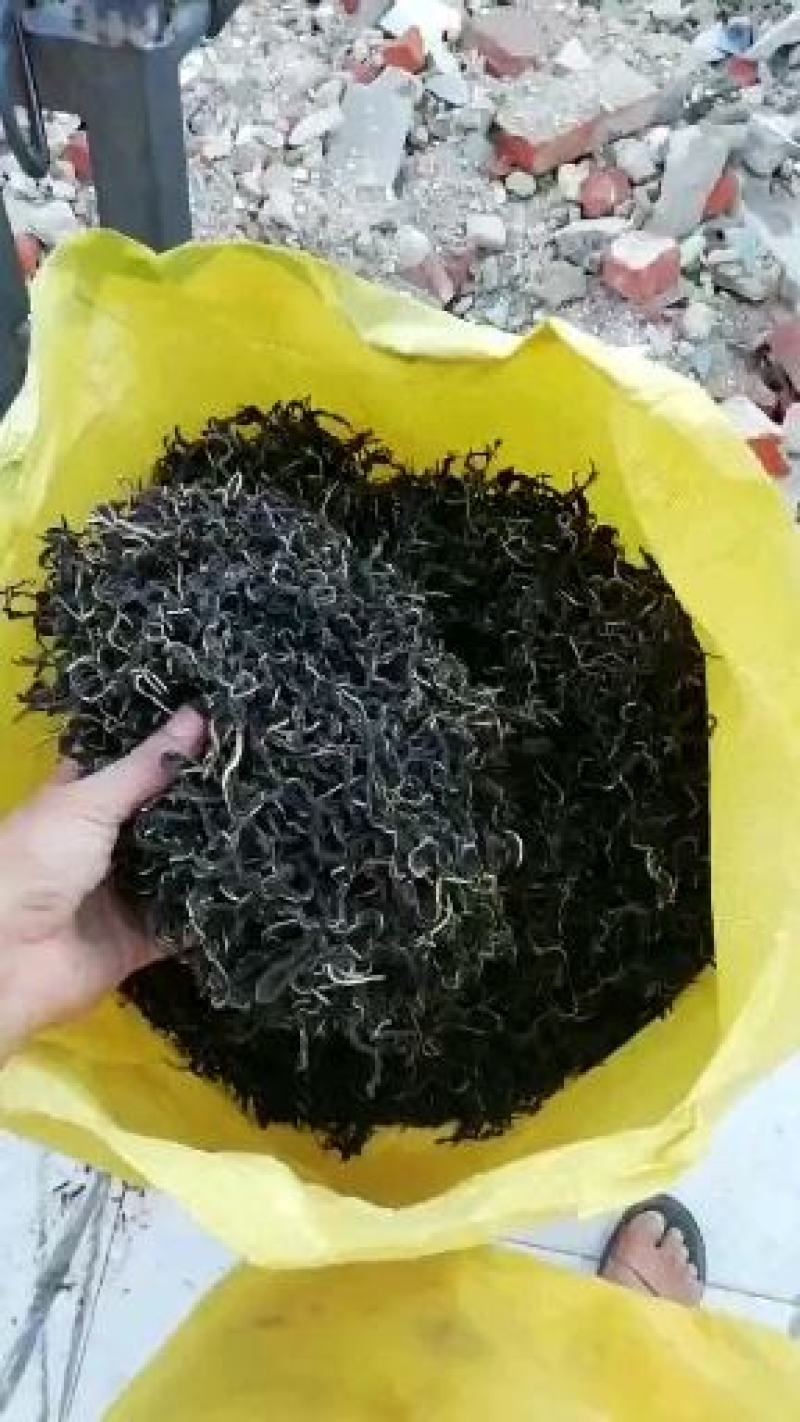 大量供应河南特产干芝麻叶