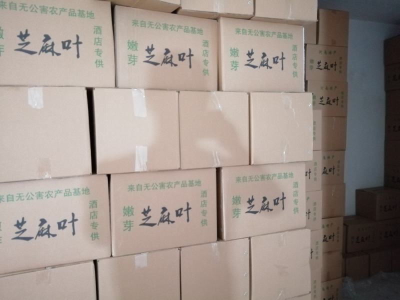 大量供应河南特产干芝麻叶