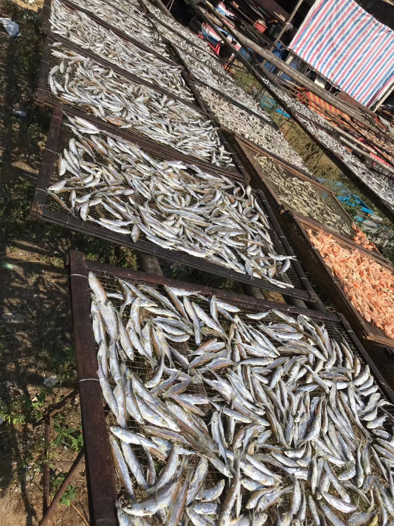 鱼干
