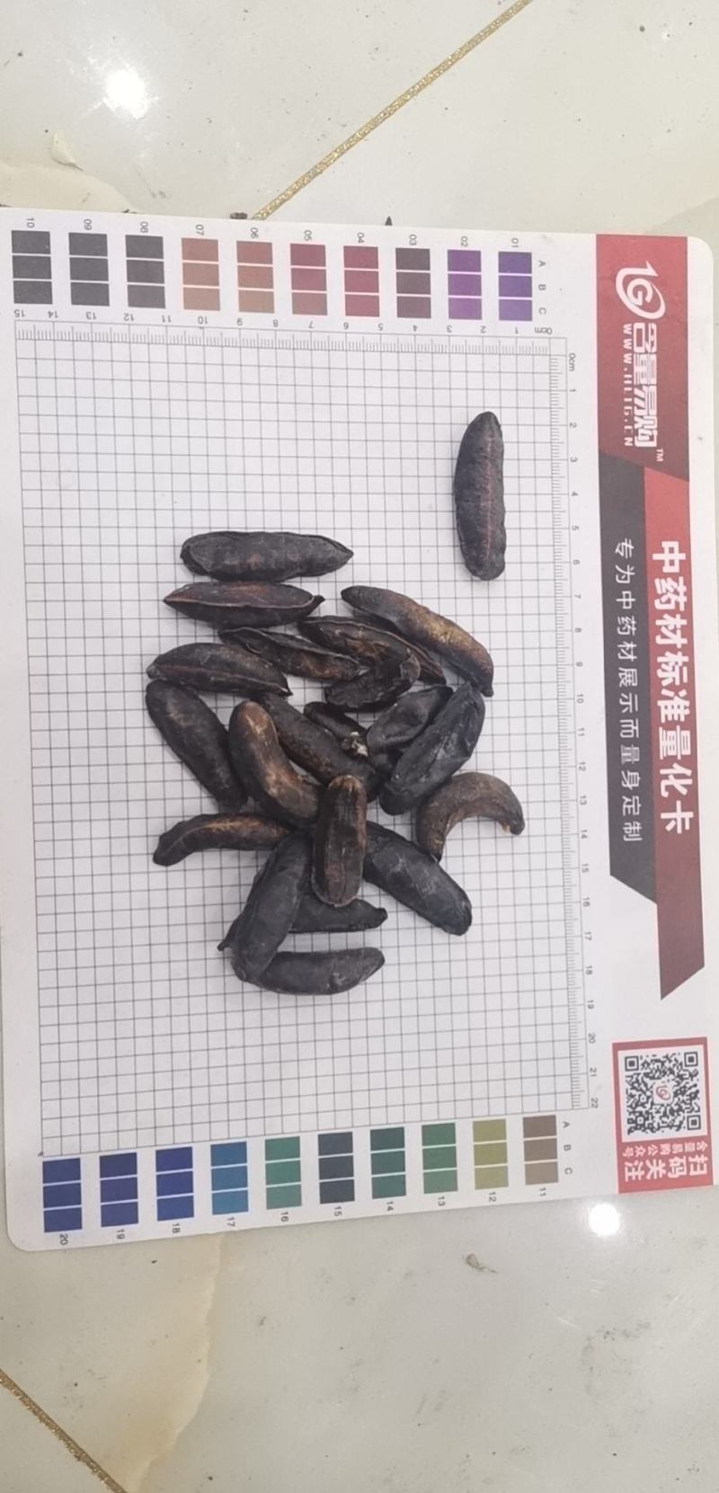 中药材蛞蝓鼻涕虫纯干货个头大