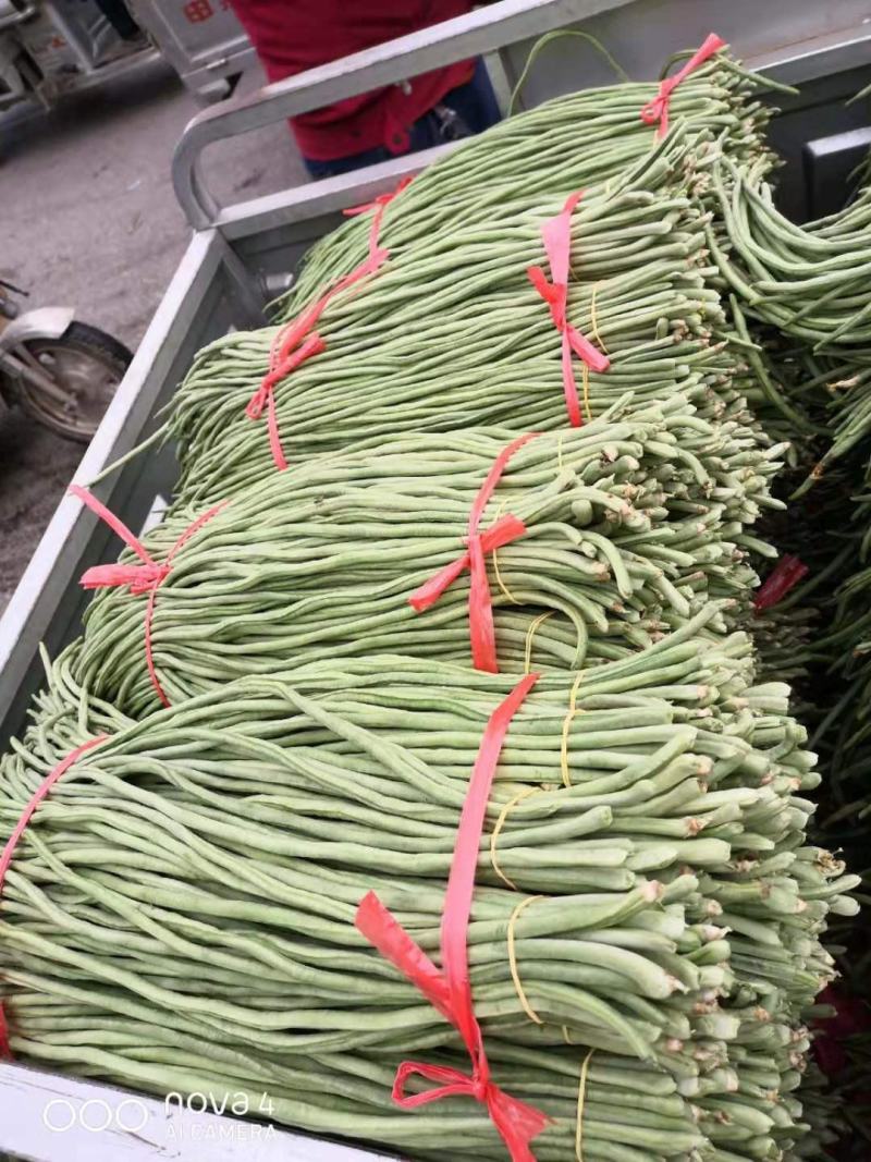 【热销】新乐大棚种植基地一手货源豆角