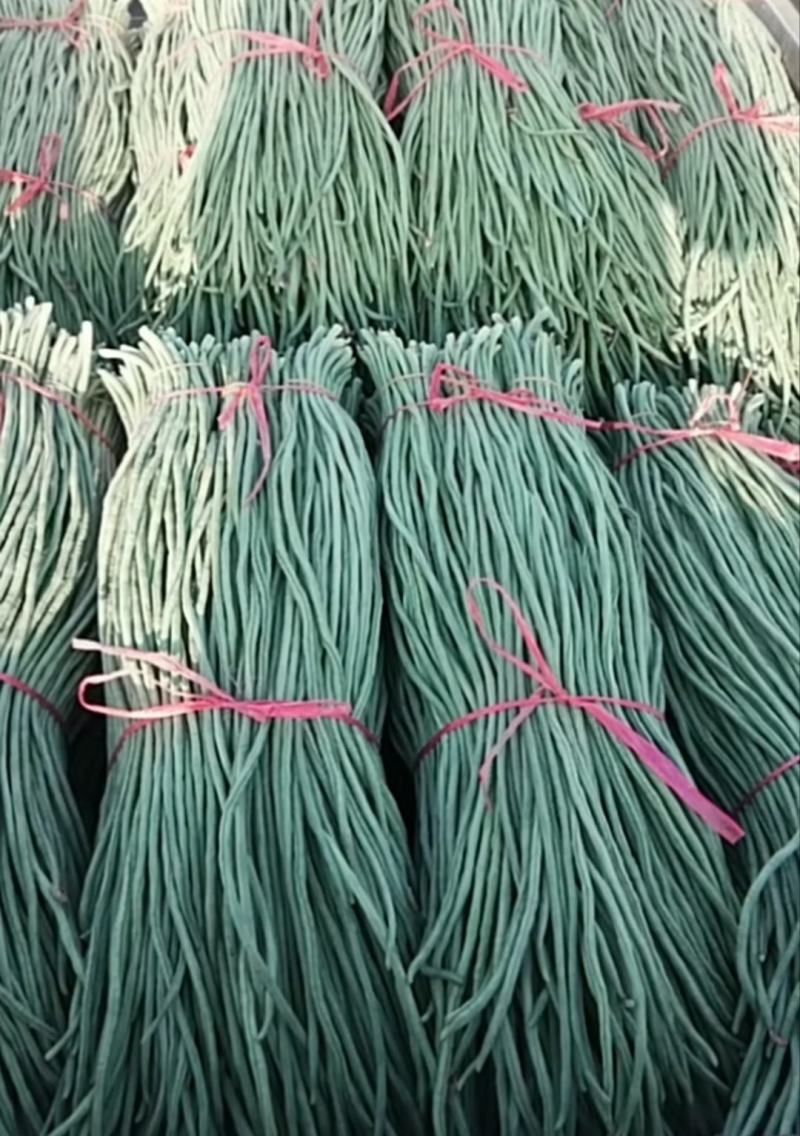 【热销】新乐大棚种植基地一手货源豆角