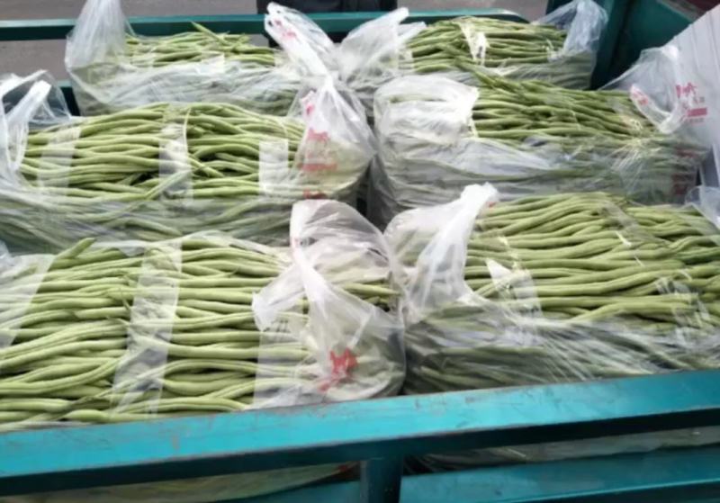 【热销】新乐大棚种植基地一手货源豆角