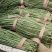 【热销】新乐大棚种植基地一手货源豆角