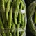 【推荐】新乐大棚蔬菜精品尖椒一手货源常年代收