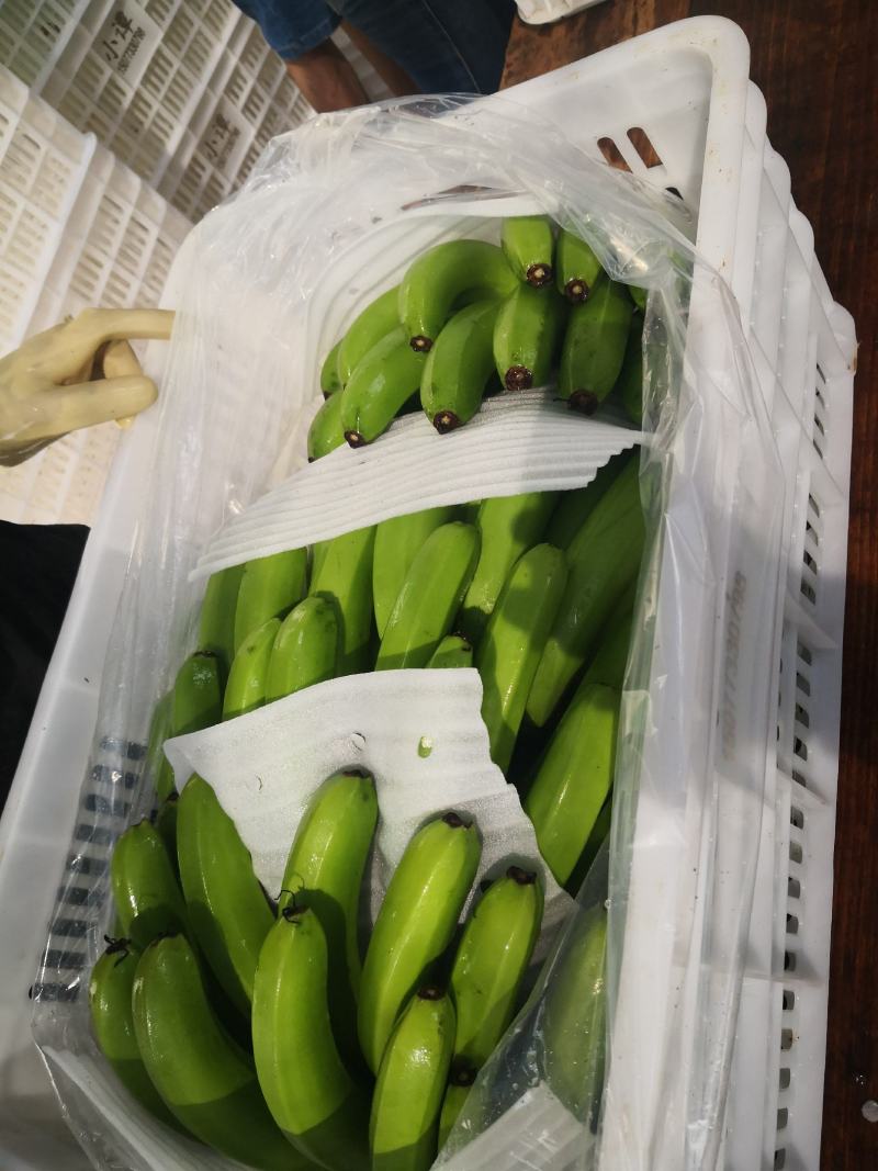 香蕉，让我在一亩田相识，期待以你相知