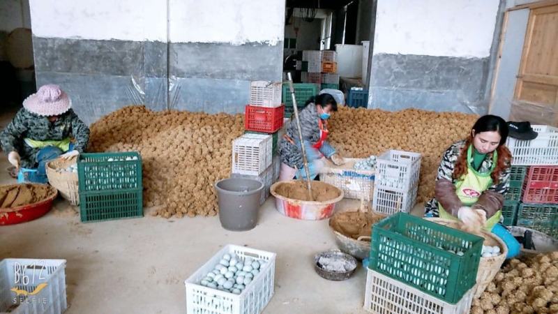 真空咸鸭蛋热，盐味适中，口感好，个个流油，65克以上的