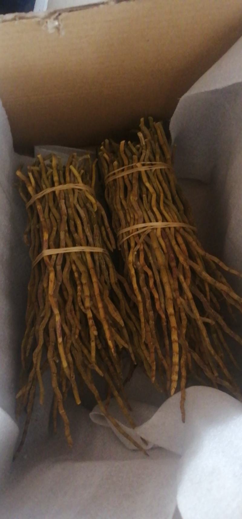 铁皮石斛、干条，寸条，一手货源，货源稳定，批发