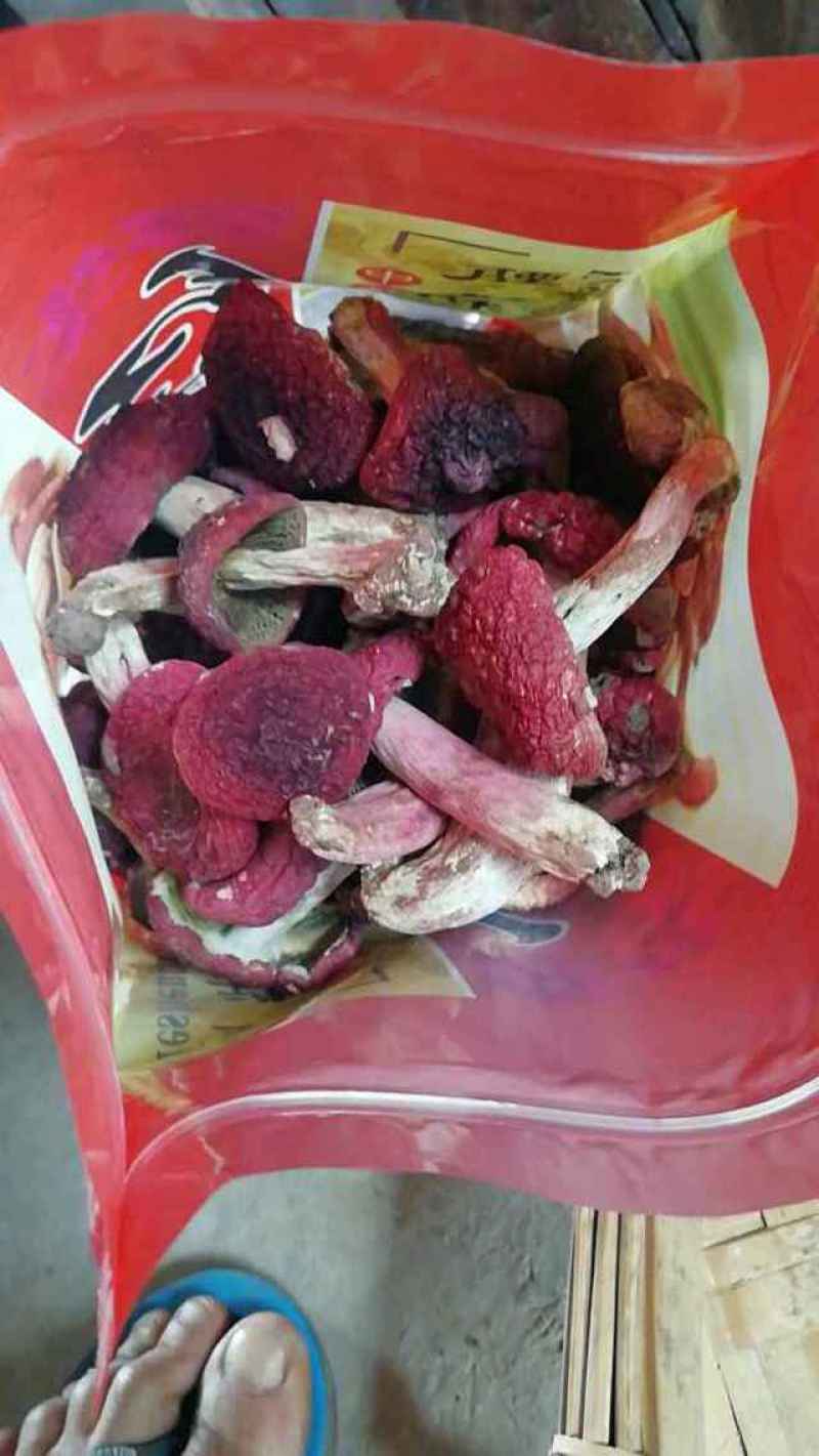 云南正宗大红菌，来自大自然的遗赠