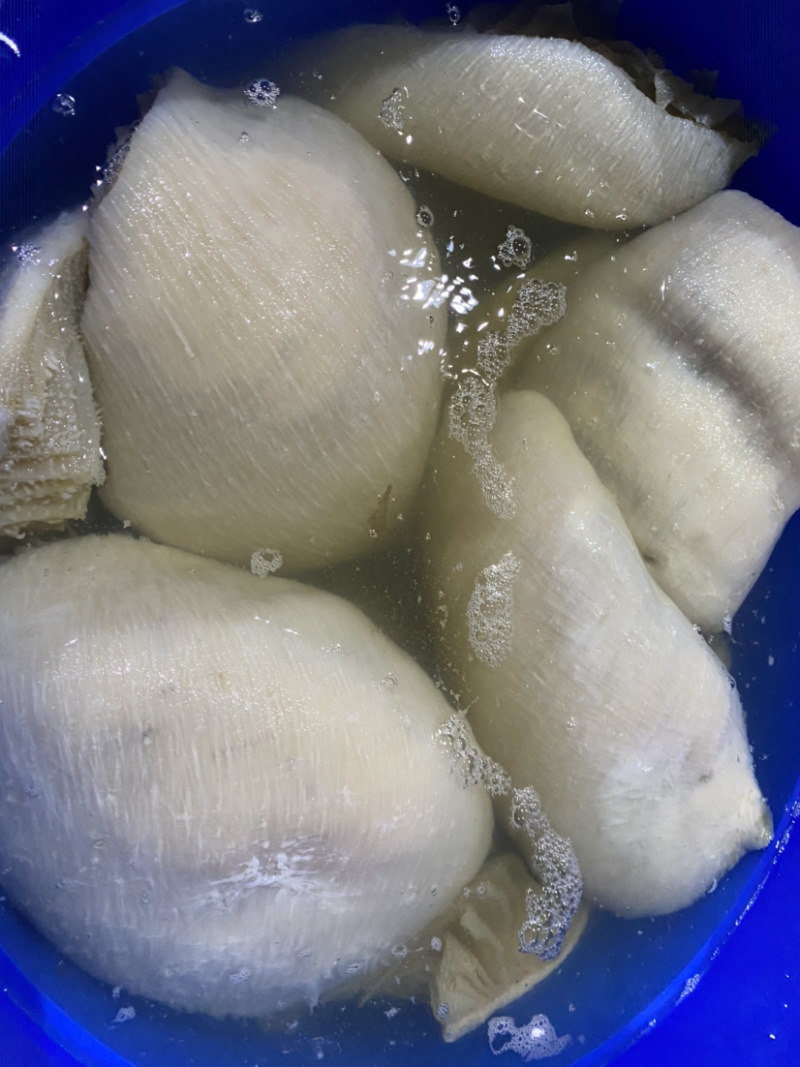 水发白千层白毛肚重庆串串店火锅食材必备