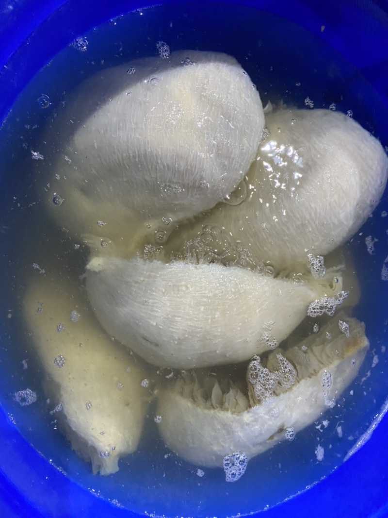 水发白千层白毛肚重庆串串店火锅食材必备
